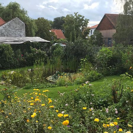 Schoene Gemuetliche Ferienwohnung Mit Kamin II Im Harz Darlingerode Екстериор снимка