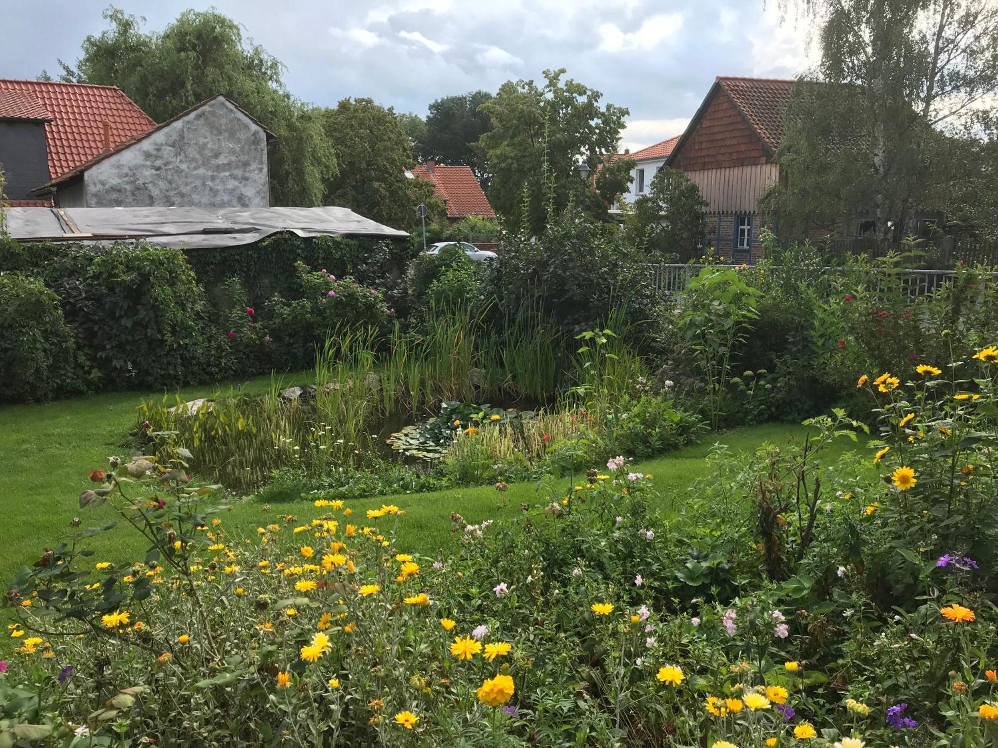 Schoene Gemuetliche Ferienwohnung Mit Kamin II Im Harz Darlingerode Екстериор снимка